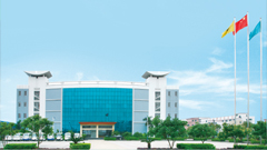 公司介绍