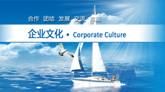 企业文化